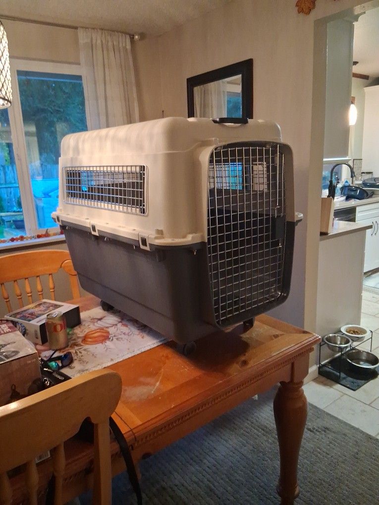 Pet Carrier / Dog Crate XL