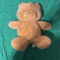 Teddy Bear