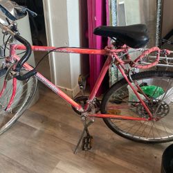 10 Speed Bike