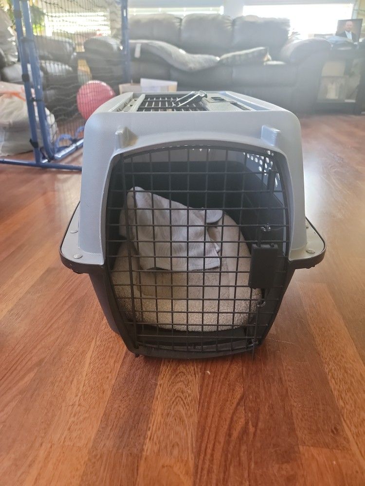 Small Dog/cat Pet Carrier