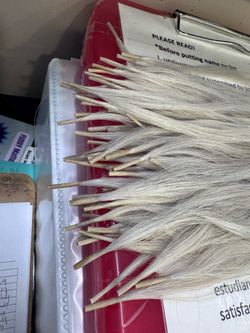 Hair extension encapsulation