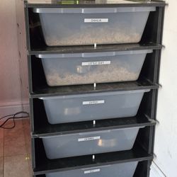 Reptile Enclosure Rack System
