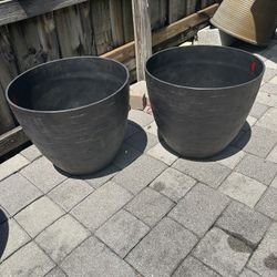Flower Pot 