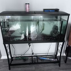 55 Gallon Fish Tank And Stand