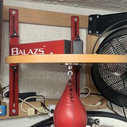 Balasz Speedbag Platform & Cleto Reyes Ball
