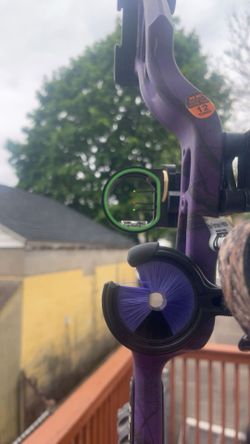 Bear Archery Cruzer purple compound bow.