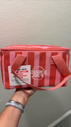 Trader Joe’s striped mini insulated bag