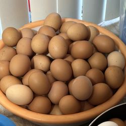 Organic Fresh Eggs  $5 Per 1 Dozen 
