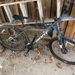 Giant Bike Men’s Large 
