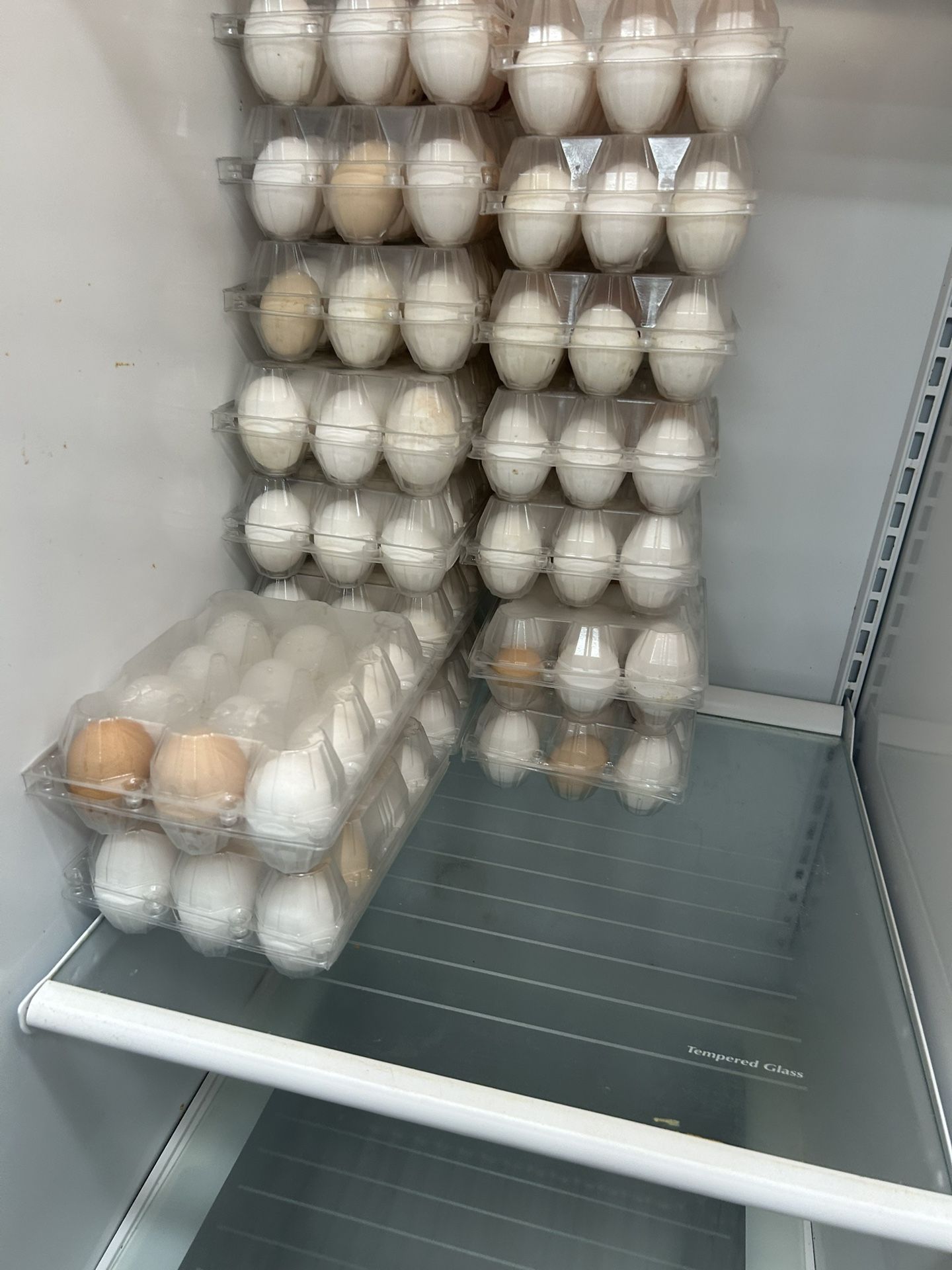 Organic Eggs