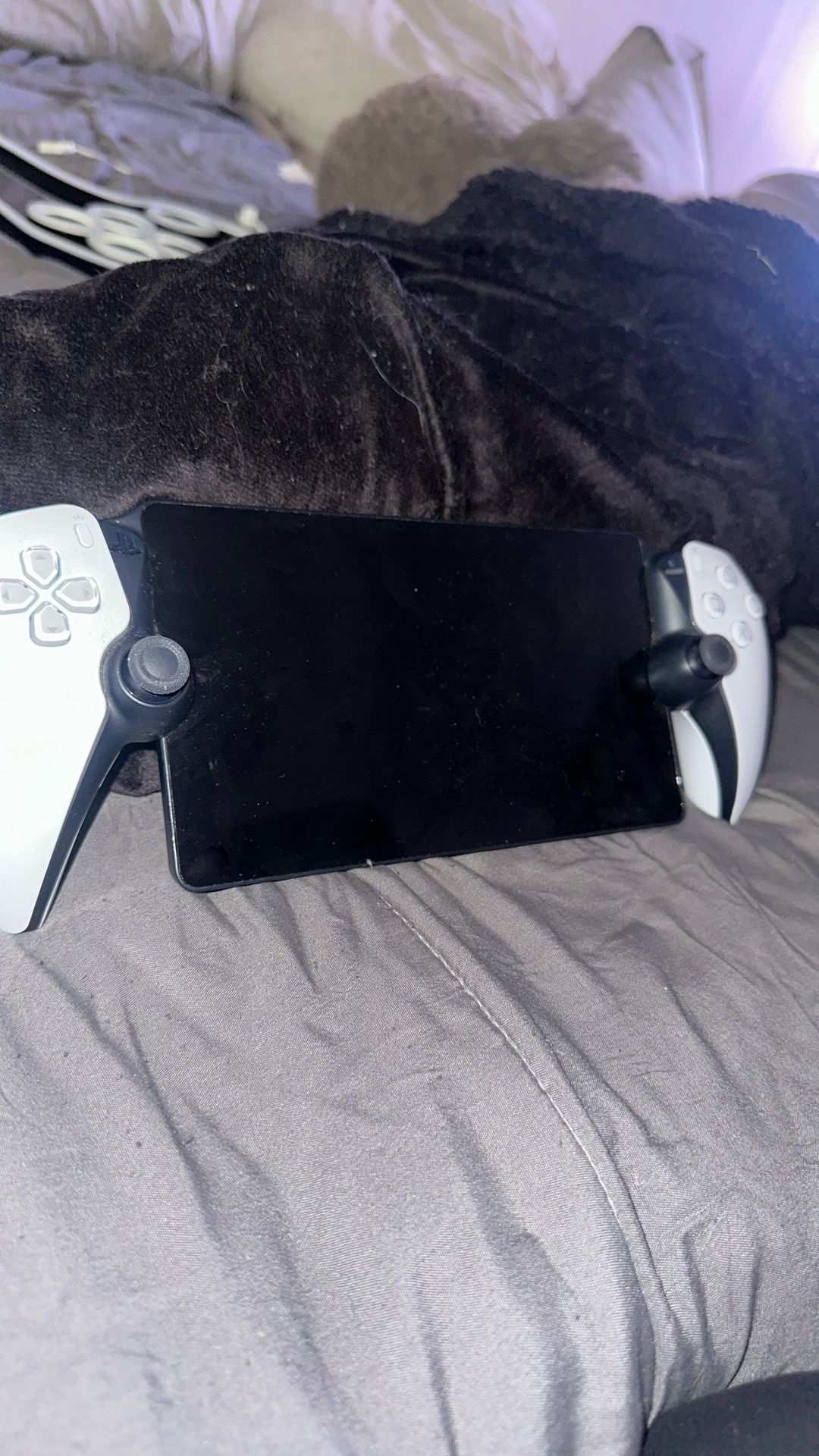 PlayStation 5 Portal