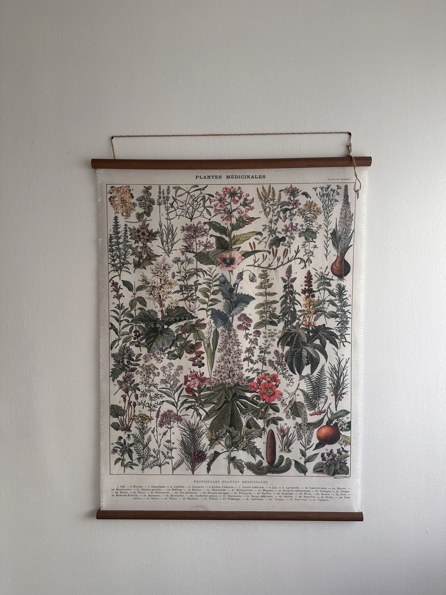 Vintage-Style Botanical Wall Hanging – “Plantes Médicinales”