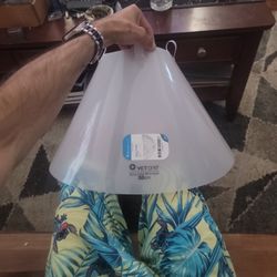 Cone Of Shame