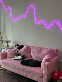 Pink couch