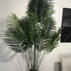 Fake Plant 