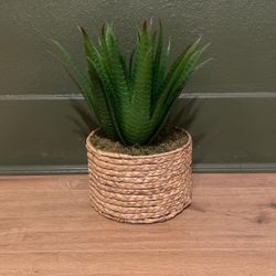 Fake Plant