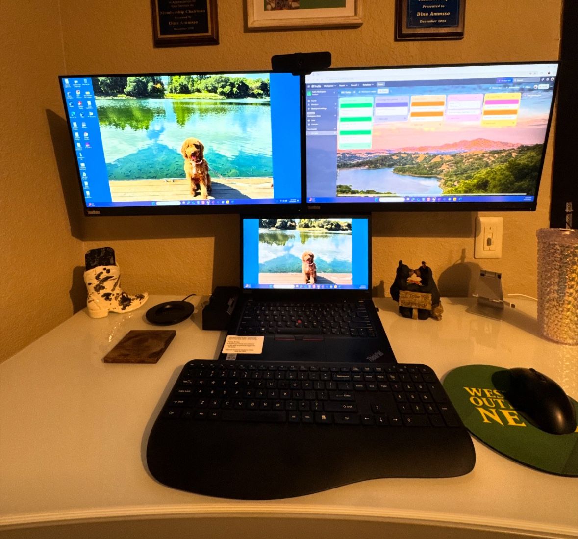 Wall Dual Monitor Mount