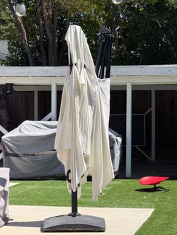 Free Crate and Barrel Umbrella