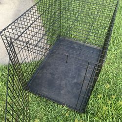 Large Dog House