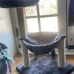 Cat Tree And More 
