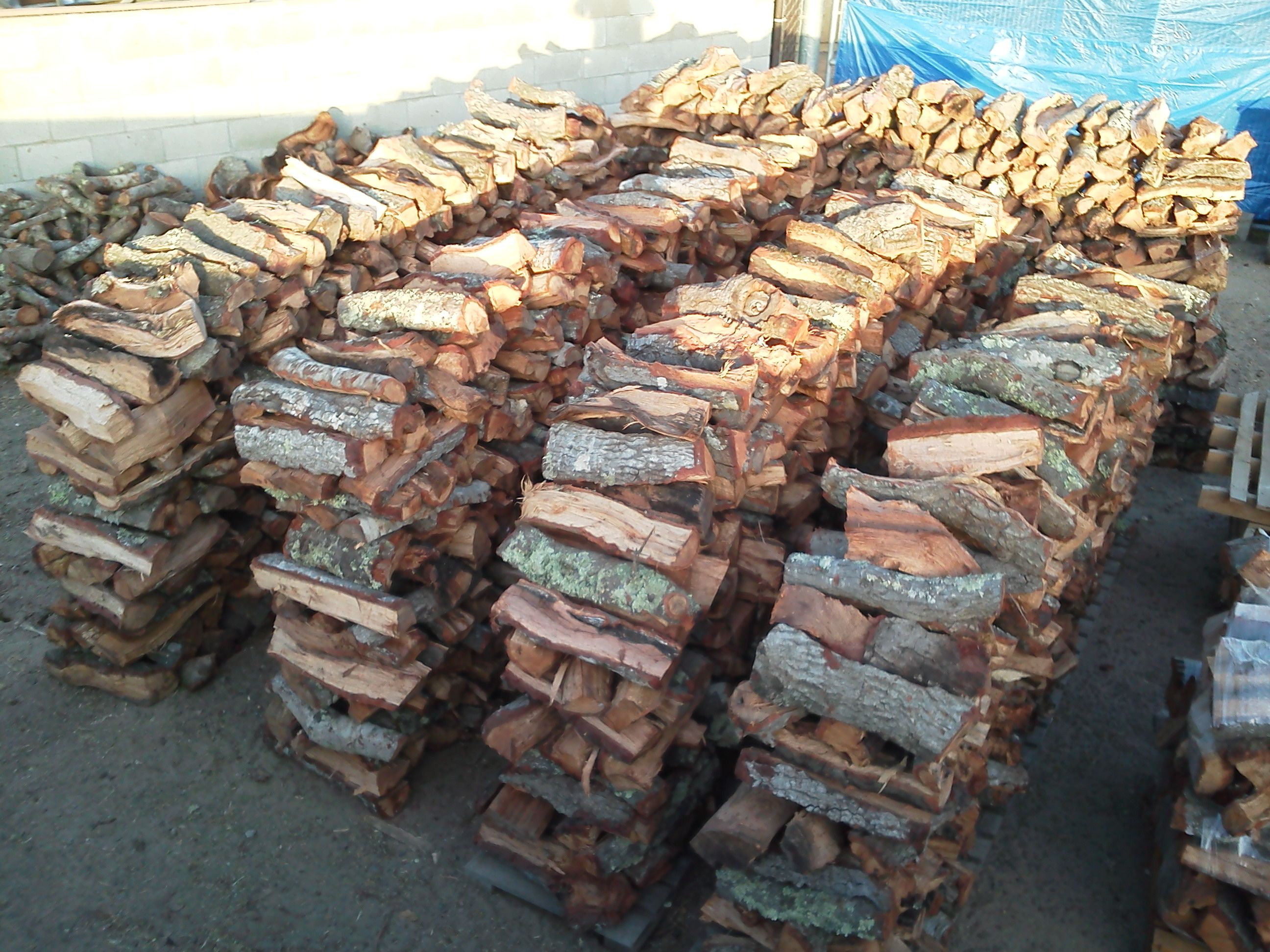 BBQ RED OAK wood split