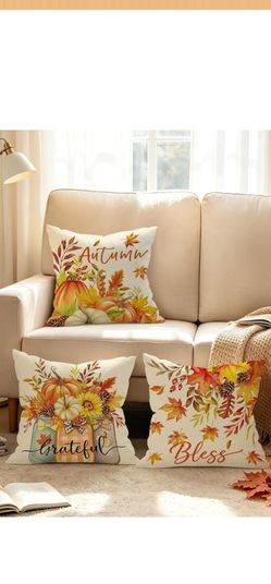 6 DECORATIVE PILLOWS