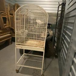 Bird Cage