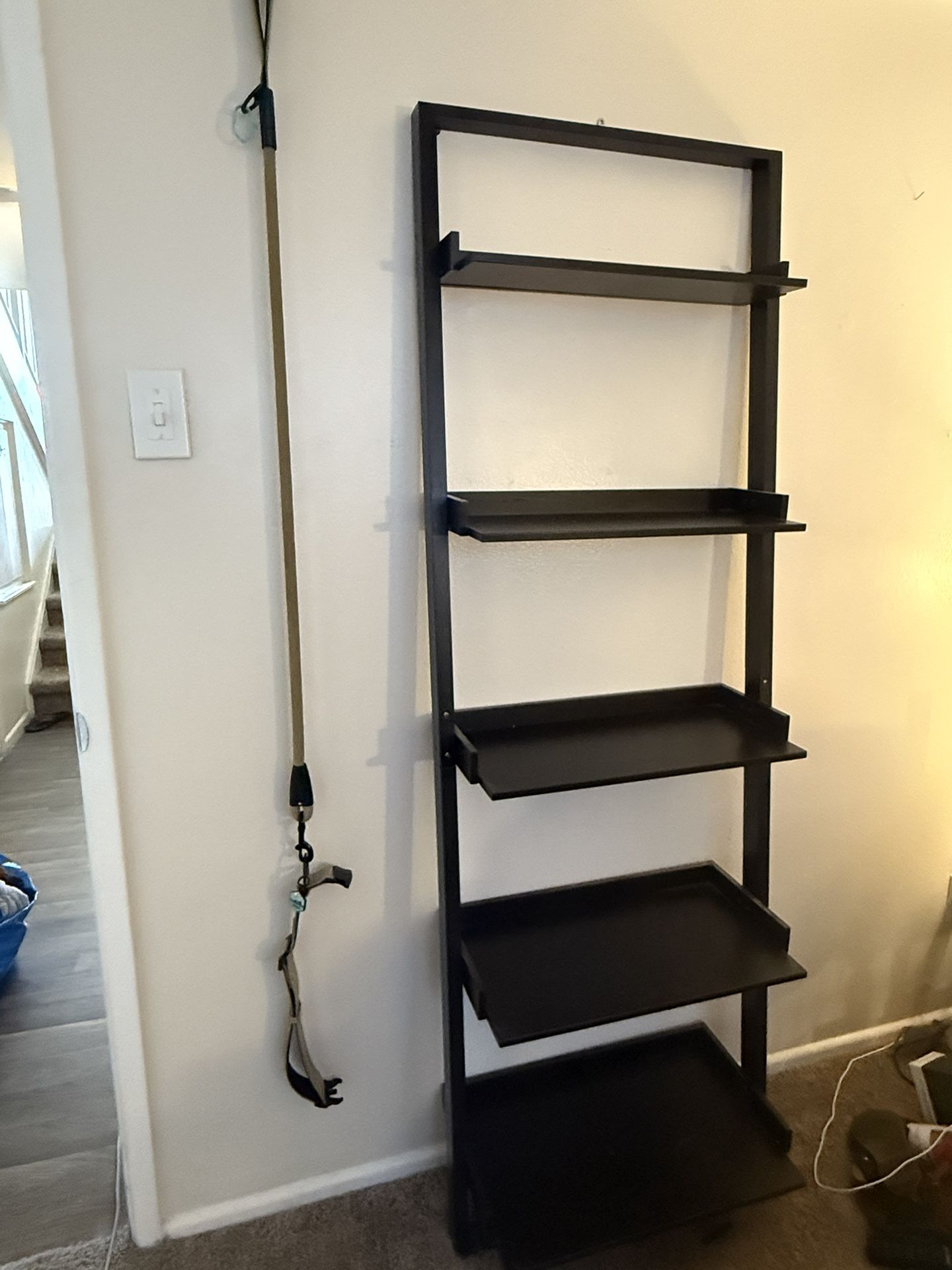 Ladder Shelf