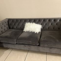 Grey Sectional Couch