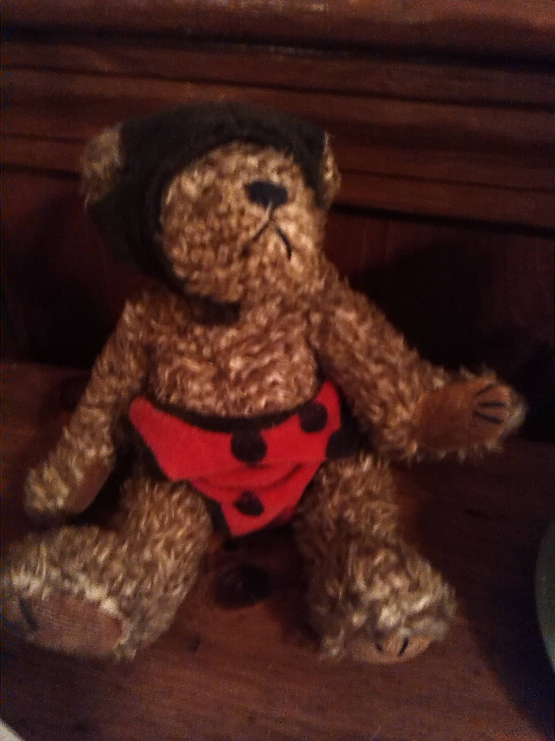 Stuffed bear w ladybug outfit on