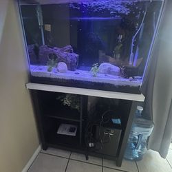 Fish Tank with Stand