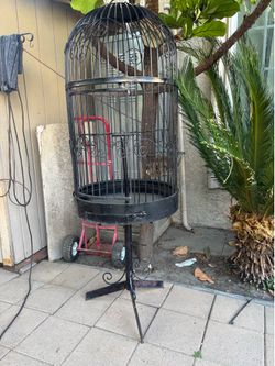 Parrot cage