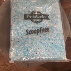 Blue Cat Liter 
