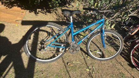 Outlook Diamond Back Bike