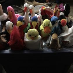 Beanie Babies - Birds Lot Of 20 $130 OBO