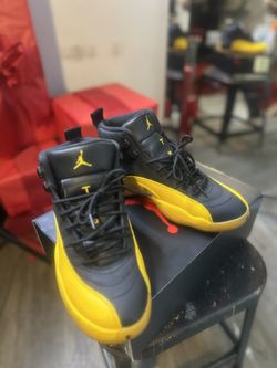 $80 Jordan 12s Sz8