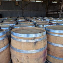 Plain Wine Barrels 