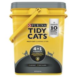 Kitten Litter 