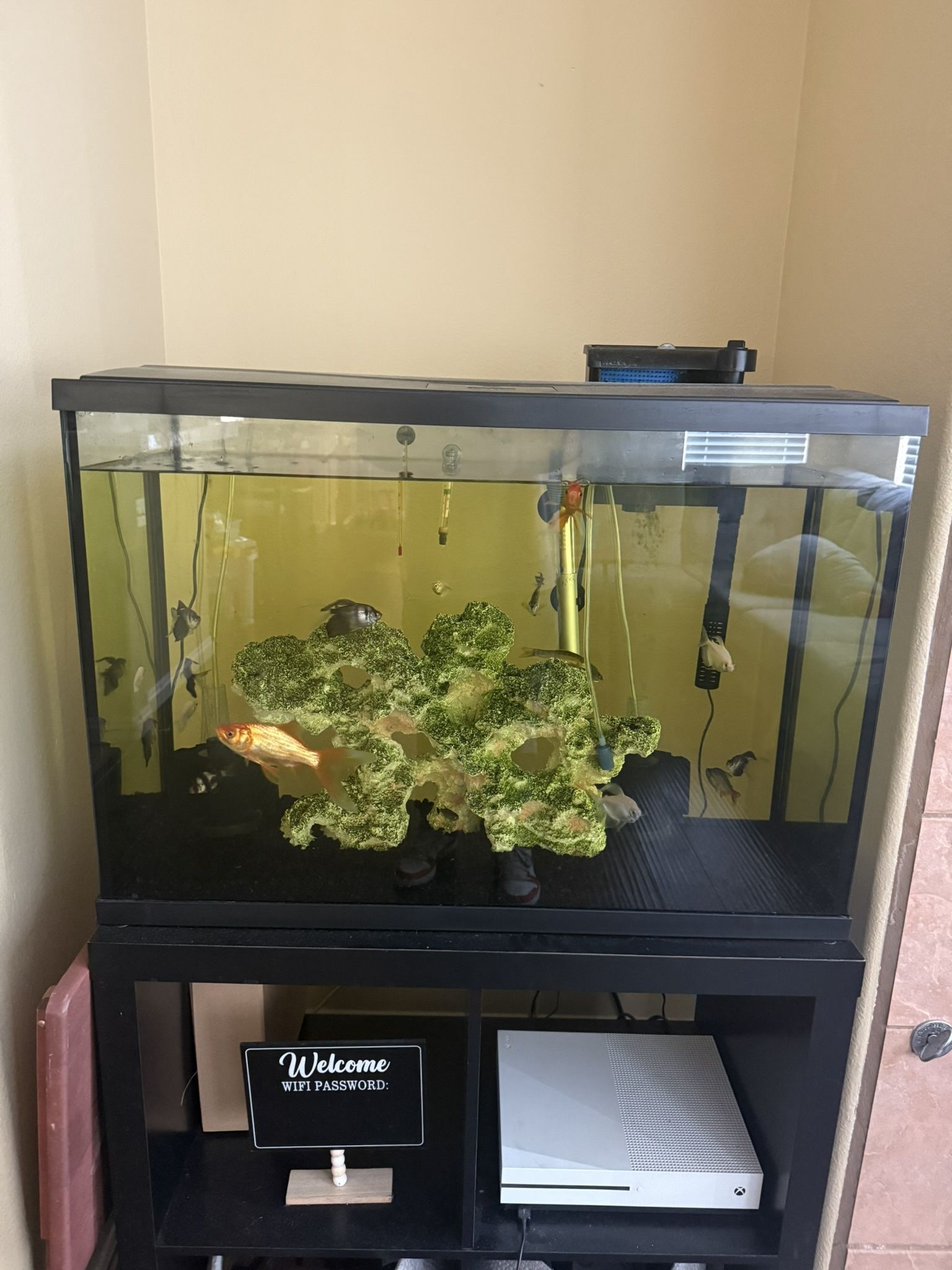 29 Gallon Fish Tank Includes Everything