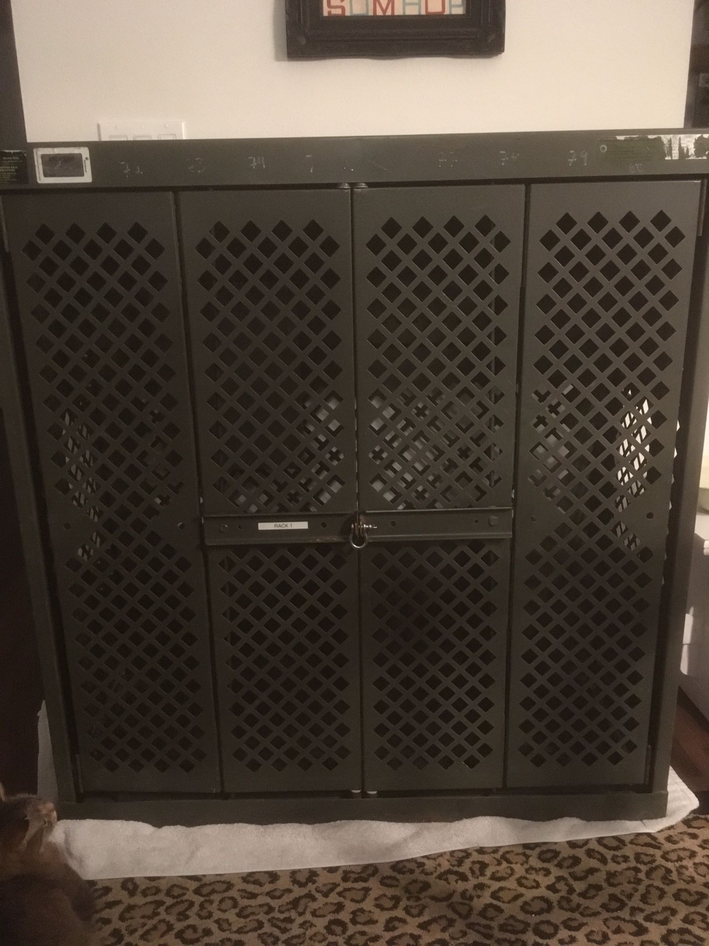 $100 Gun Rack Storage Cabinet