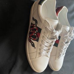 Gucci Shoes 