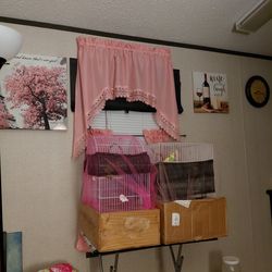 Cages