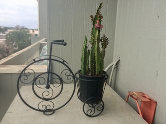 Wrought Iron Bicycle W/Plant