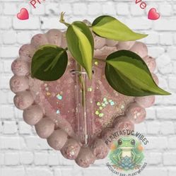 Valentine's Day Propagation Stations