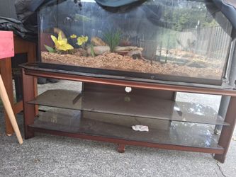 TV stand ONLY