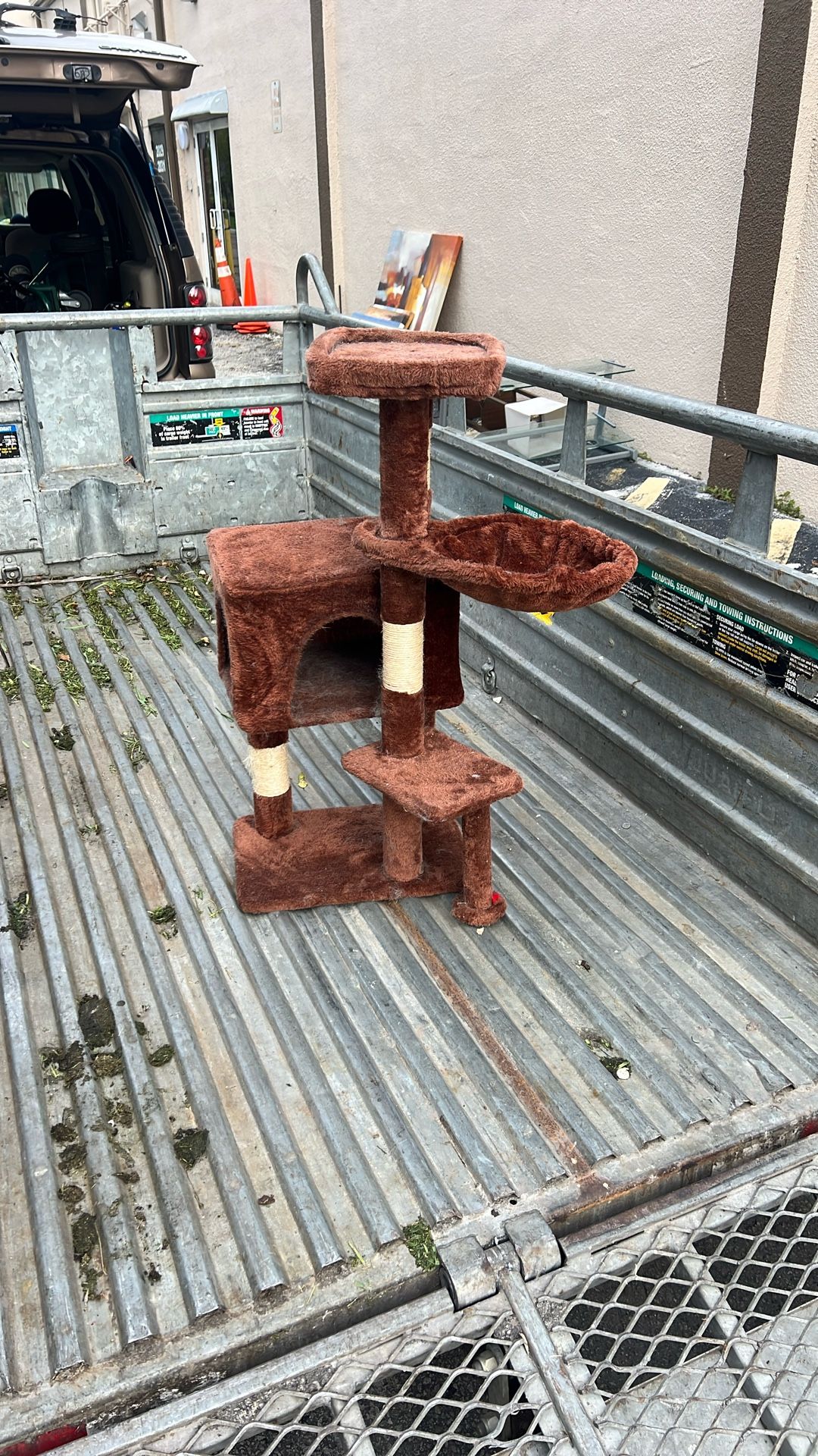Cat Tree