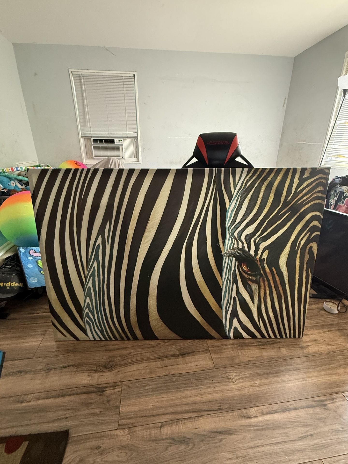 Zebra Portrait/Wall Decor