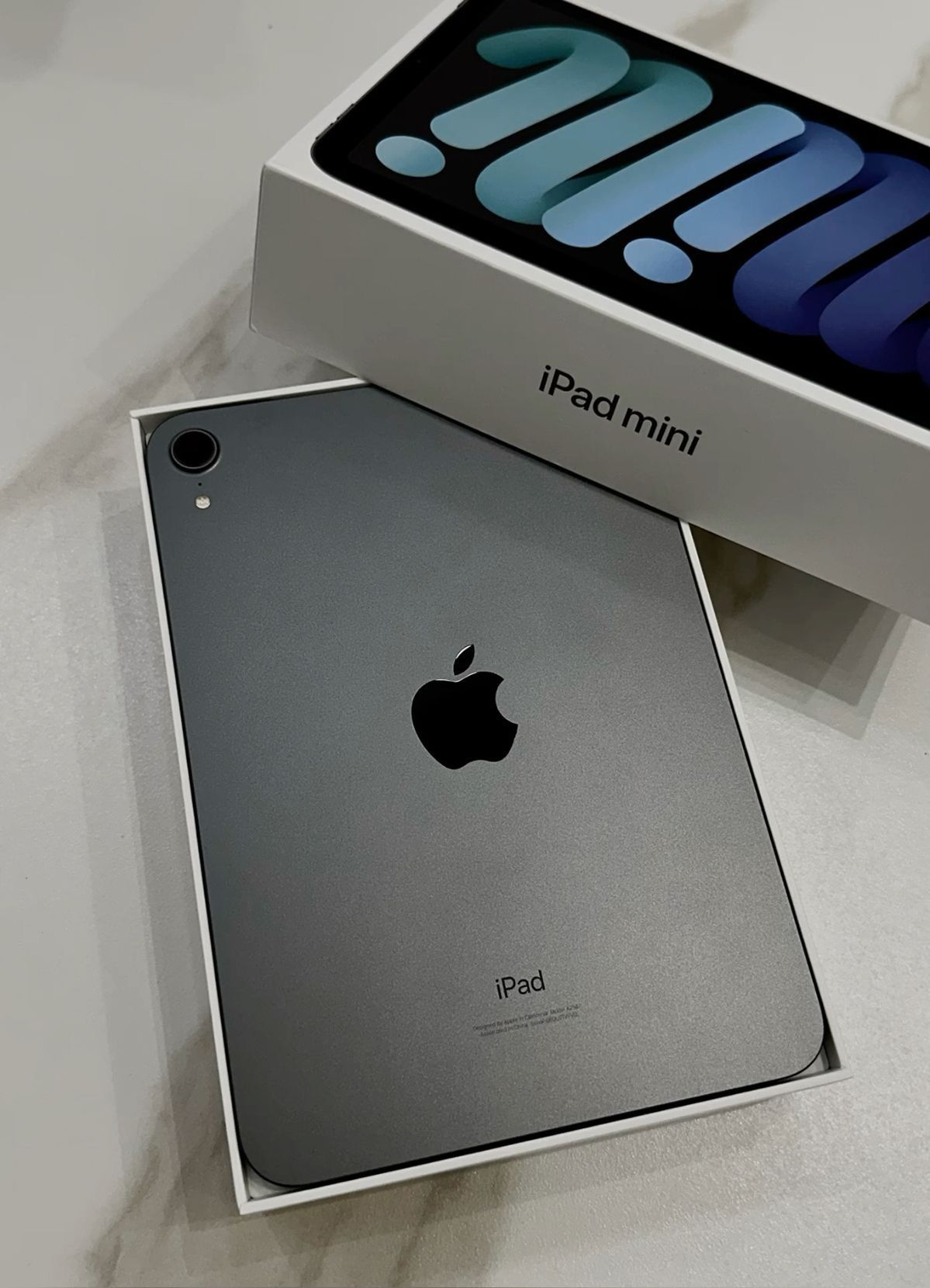 iPad Mini 256gb/with Cellular