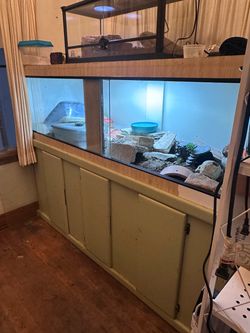 reptiles tank and base
