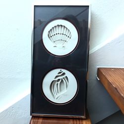 3d Seashells Matted Behind Glass 